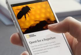 Facebook Instant Articles: how to activate it on your VirtualCms