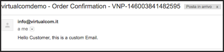 See the custom email
