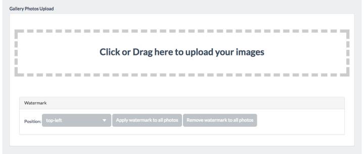 The section dedicated to the Gallery is very simple.<br> First of all, you need to <strong>add the images</strong> by click into the dashed box <br>(a window will be open and you can search the pictures to add)<br> or by drag them directly into the dashed box.