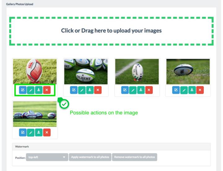 Once you've uploaded the images, you can simply rearrange them by dragging them in the right order. <br> Furthermore there are various possible actions for each of them: <br>- Changing the <strong>text fields</strong> related to the image <br>- <strong>Modify</strong> the image <br>- <strong>Download</strong> the image <br>- <strong>Removing</strong> the image <br><br> Let's see the first two options in the specific.
