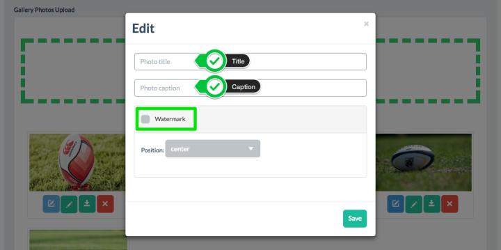 <strong>Edit text fields</strong> <br>You can enter a <strong>title</strong> and a <strong>caption</strong> and you can activate the <strong>watermark</strong> (defining its position on the image) for each photo.