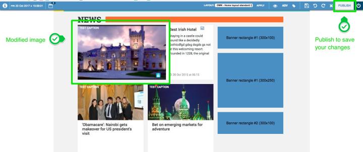 The image editing interface will close and, within a few seconds, the modified preview image will be replaced by the new one. To effect the changes is required to <strong>Publish</strong>.